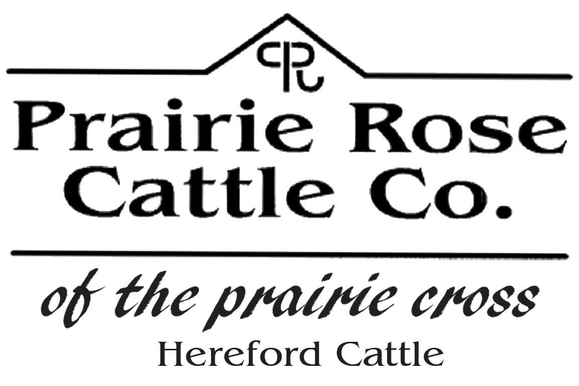 Praire Rose Cattle Company