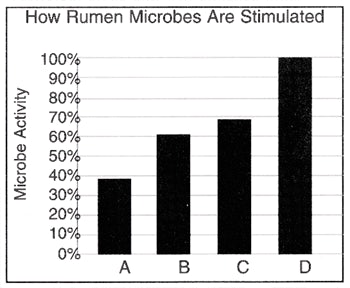 Rumen Microbs Chart