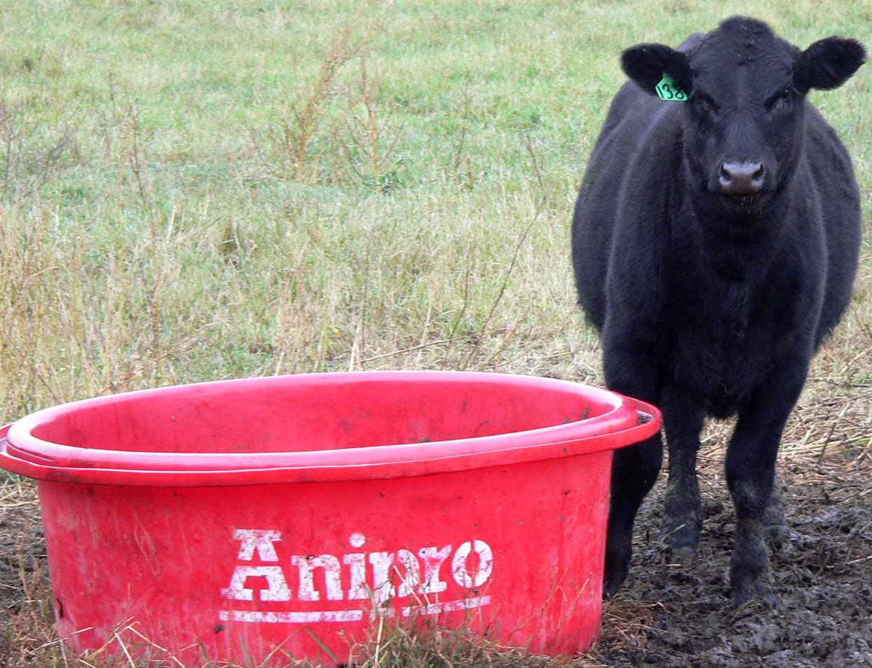 Our Philosophies Anipro XF