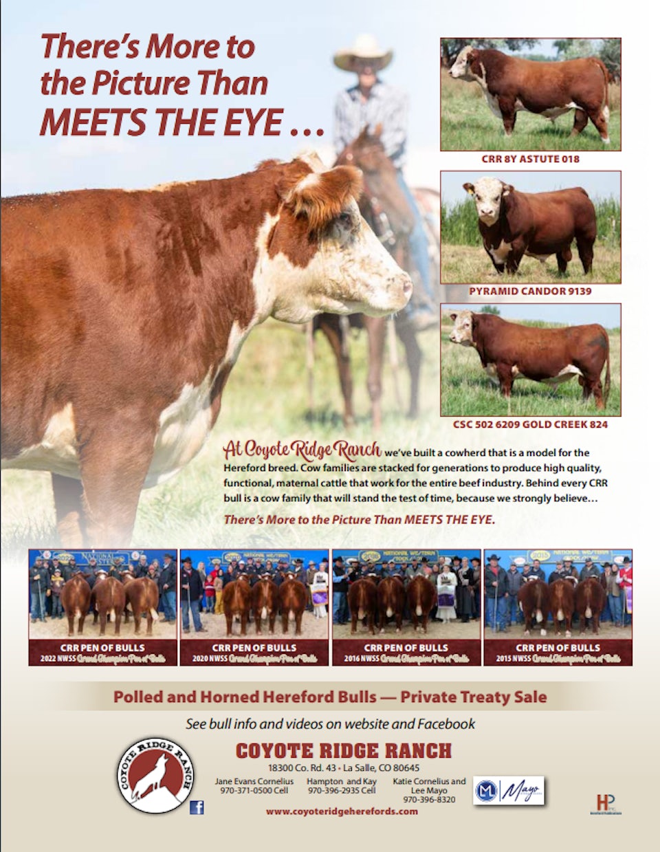 2023 Bull Catalog Coming in February