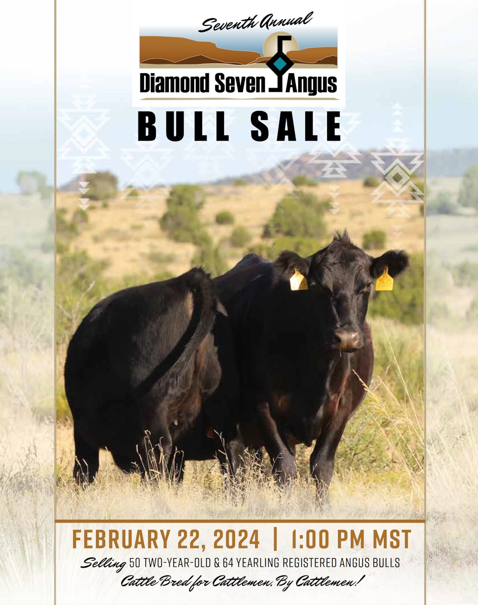 2024 Bull Sale Catalog is NOW online!