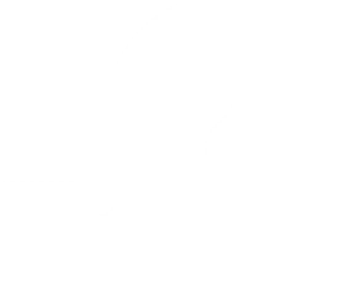 JR Influenced Commercial Cattle