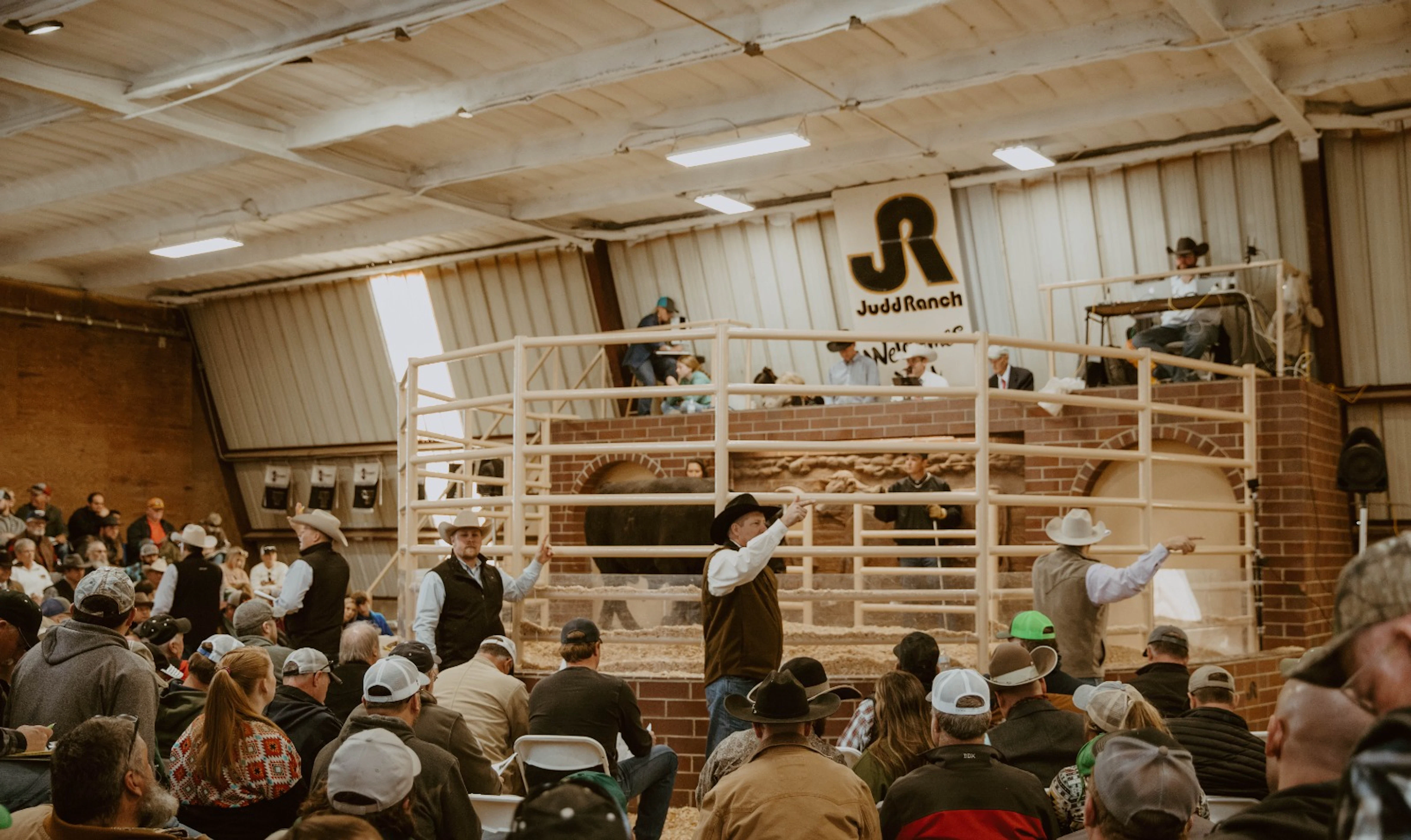 March Bull Sale