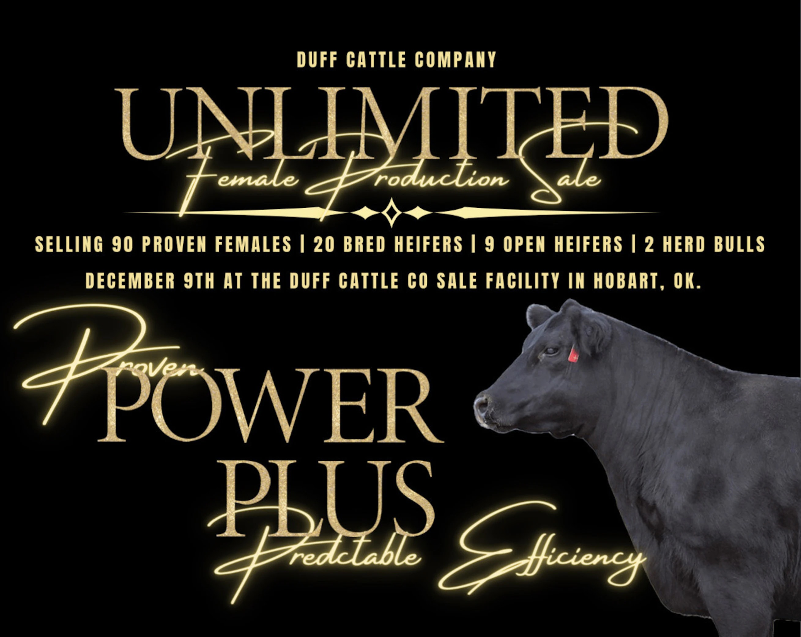 Power PLus Unlimited Sale
