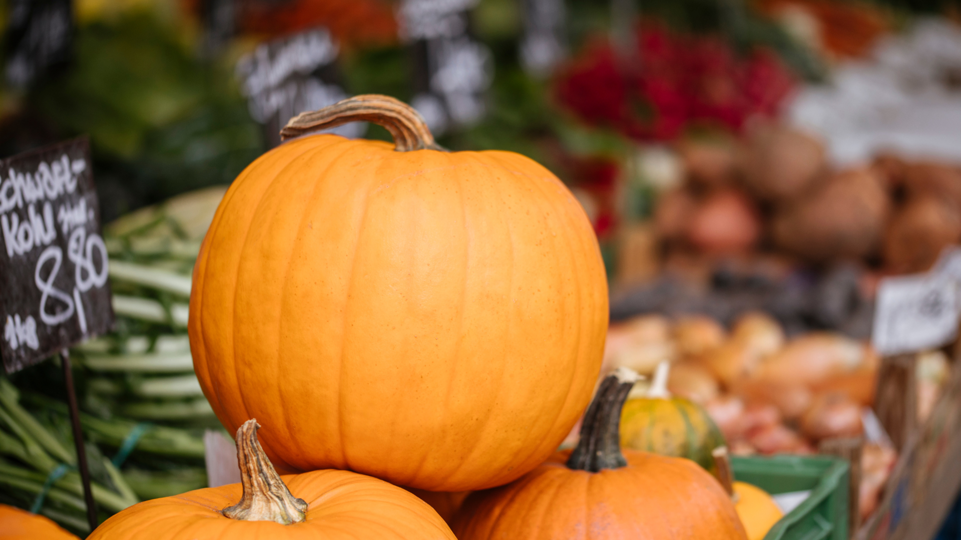 Second Saturday Outdoors Corn Maze Events Redeemer