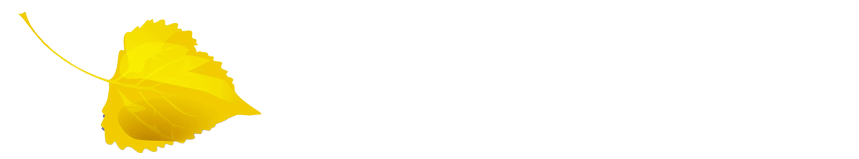 Special District Association of Colorado Logo