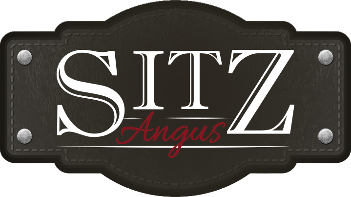 Sitz Resilient 10208