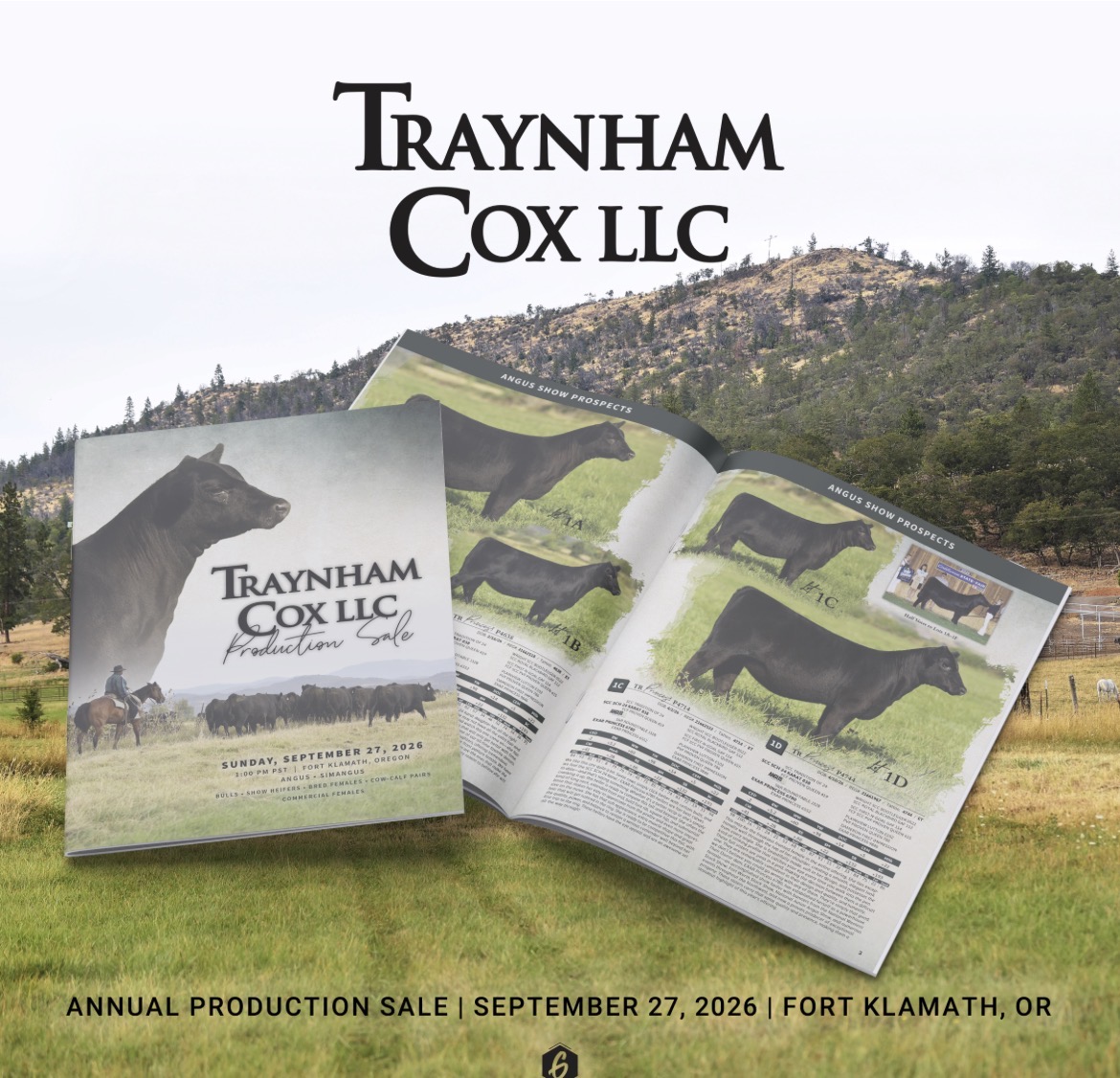 2026 Sale Catalog