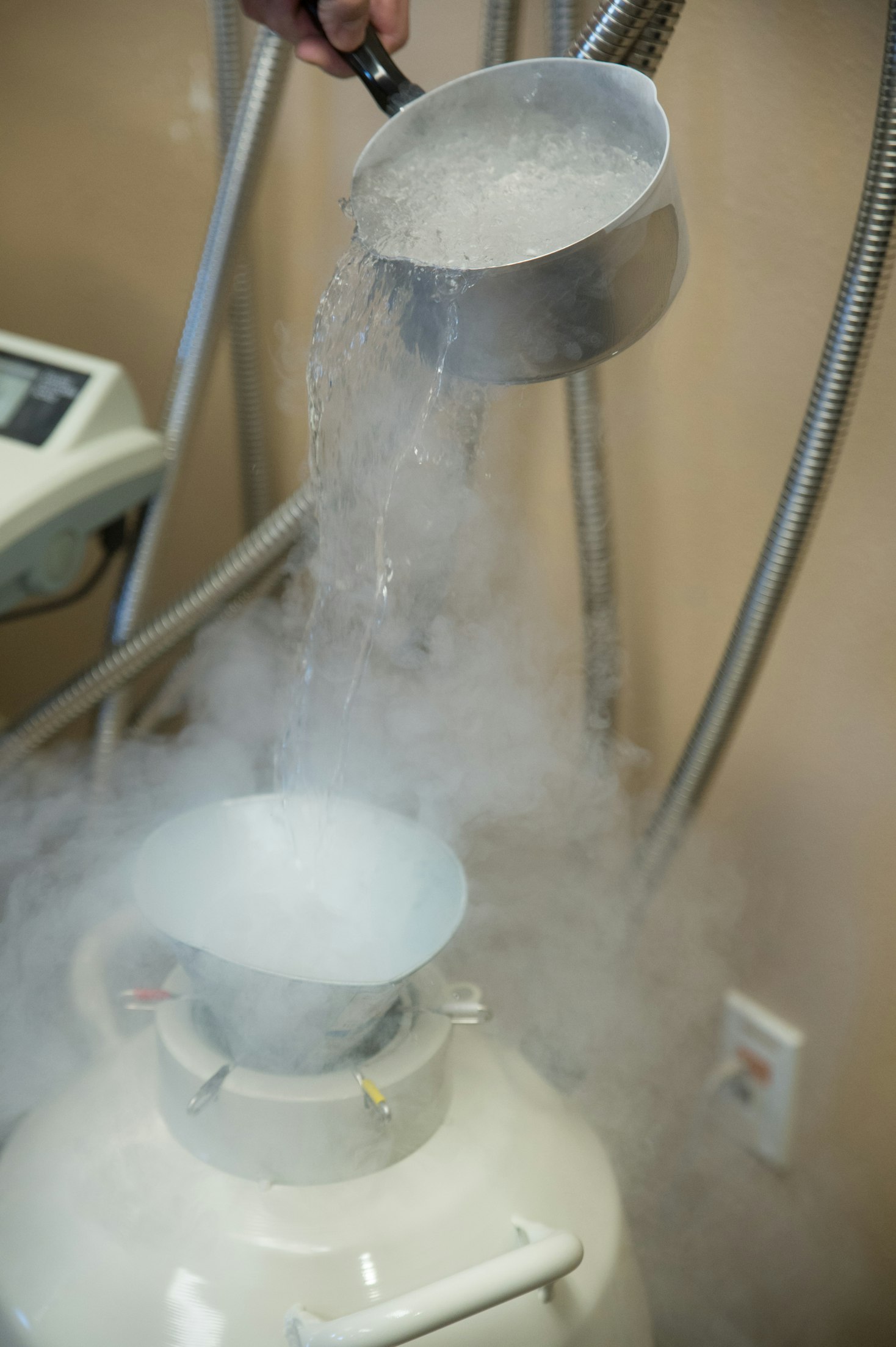 Breeder Tank Program Western Sire Services