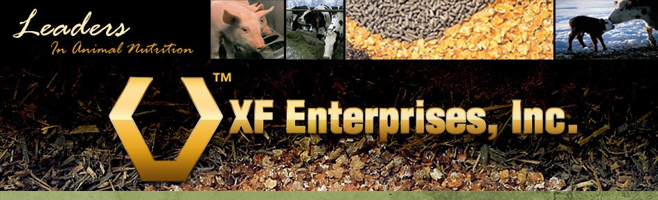 XF Enterprises